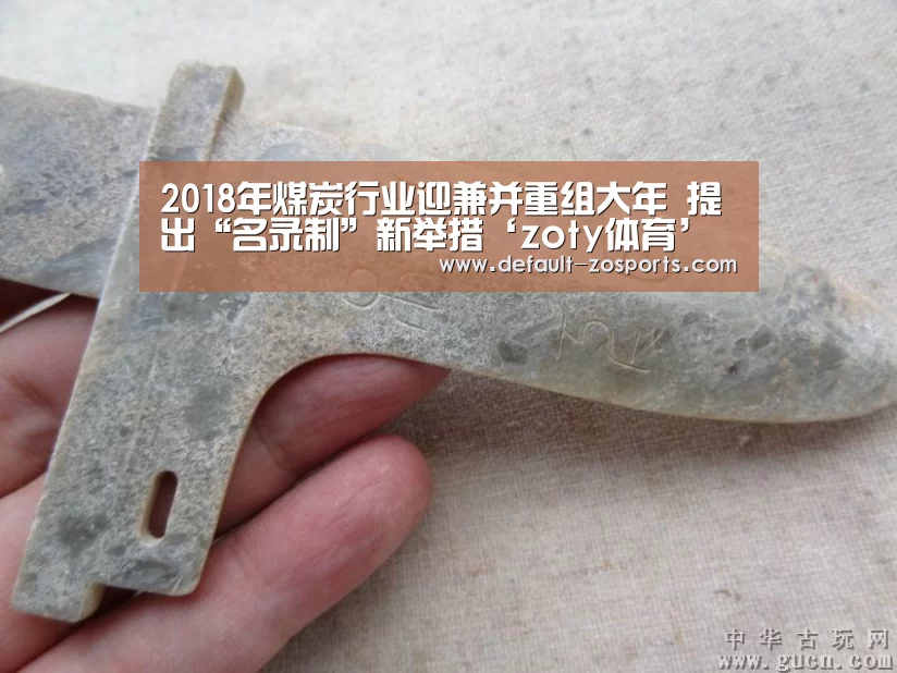 2018年煤炭行业迎兼并重组大年 提出“名录制”新举措‘zoty体育’(图3) 中欧体育