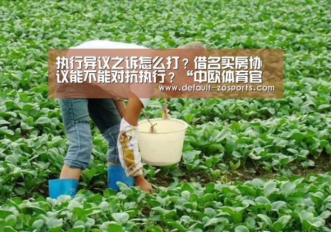 执行异议之诉怎么打?借名买房协议能不能对抗执行?“中欧体育官网”(图2) 中欧体育
