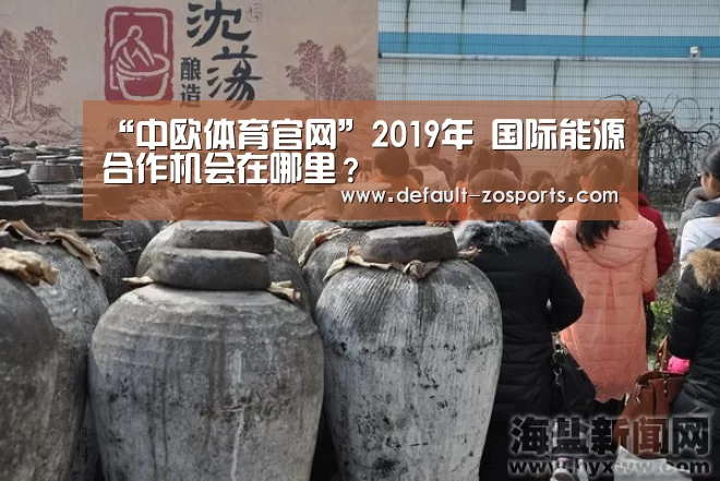 “中欧体育官网”2019年 国际能源合作机会在哪里?(图1) zoty体育