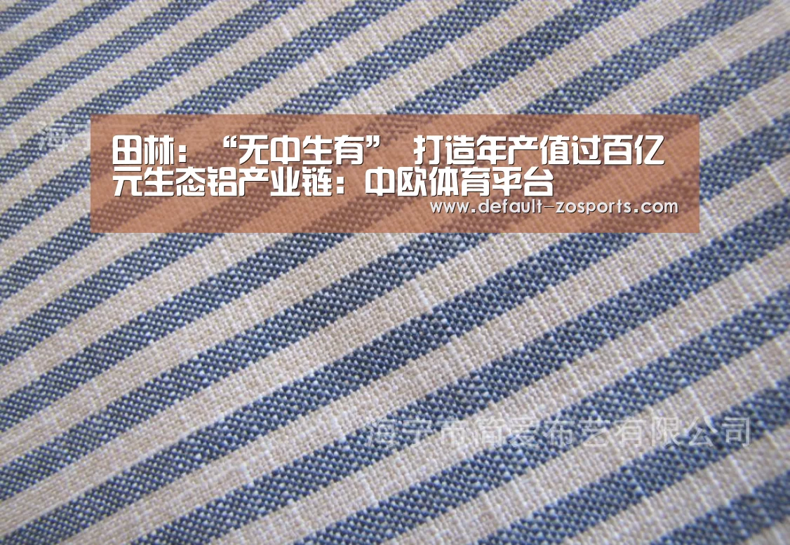 田林:“无中生有” 打造年产值过百亿元生态铝产业链:中欧体育平台(图1) 中欧体育