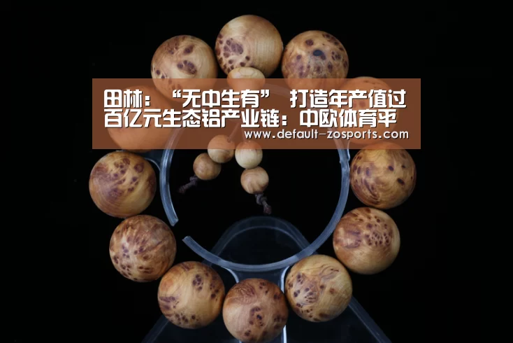 田林:“无中生有” 打造年产值过百亿元生态铝产业链:中欧体育平台(图3) zoty体育